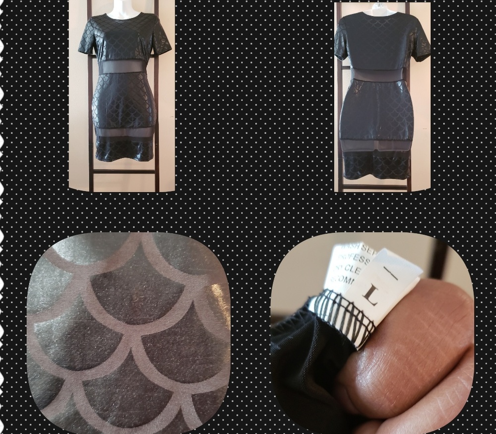 Black and Sheer Mini dress
